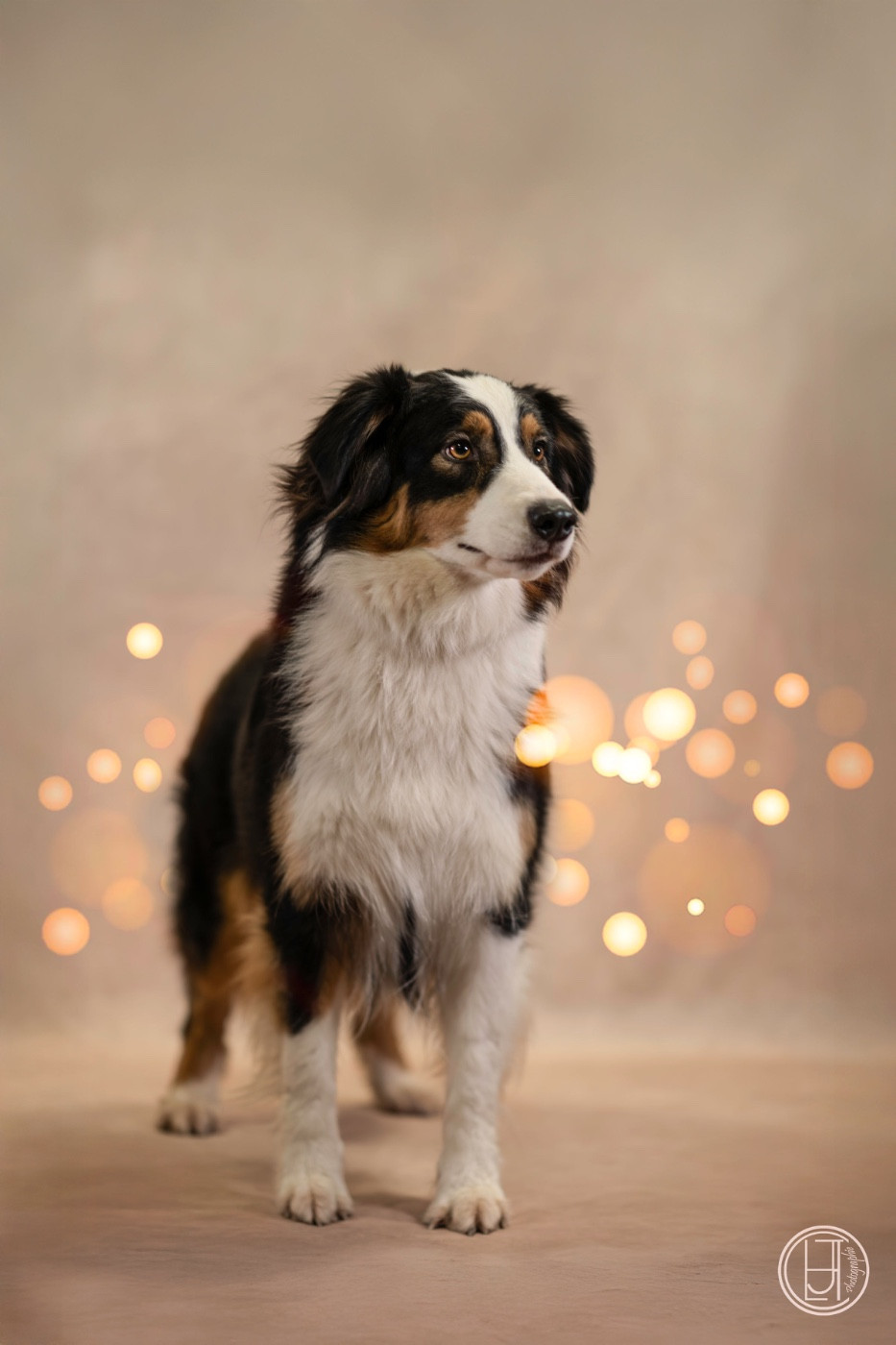 Unjoy Come Back Home Du Joli Reve De Gelyna